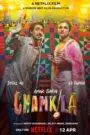 Amar Singh Chamkila (2024) Hindi HD